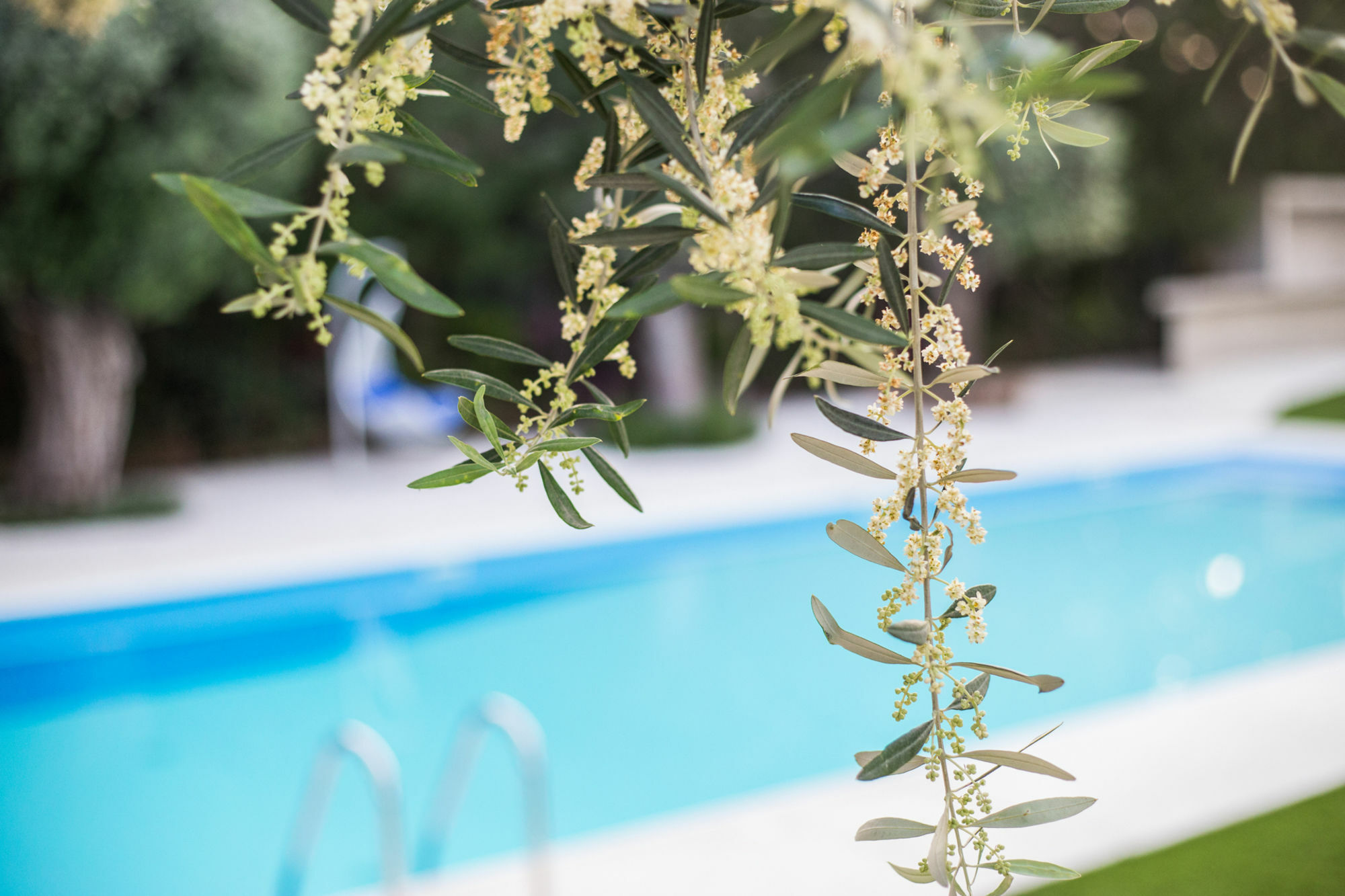 Corina Suites And Apartments Limassol Zewnętrze zdjęcie